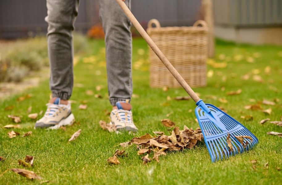 Cleaning a home garden